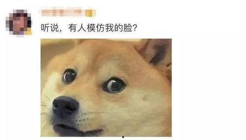 微信表情包吃瓜啥意思  第3张