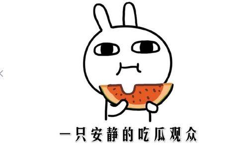 吃瓜是什么意思,网络热词背后的文化现象  第3张