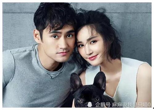 娱乐吃瓜小8,娱乐圈幕后大事件，吃瓜群众必看！  第2张